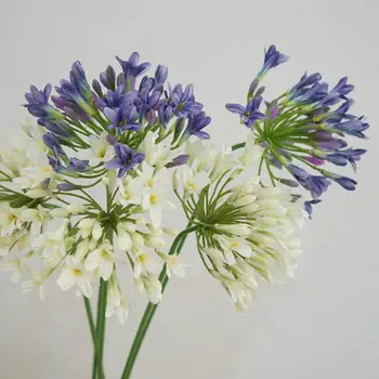 Güzel Sahte Çiçek Hafif Hava koşullarına dayanıklı Gerçek Dokunmatik Ultra Canlı Yapay Agapanthus Çiçek Sulama Yok