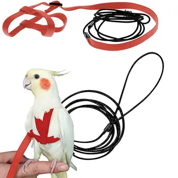 Yeni Eğitim Uçan çekme halatı Anti-Bite eğitim halatı Kuş Tasma Papağan Uçan Halat Papağan Koşum Kuş Koşum Tasma